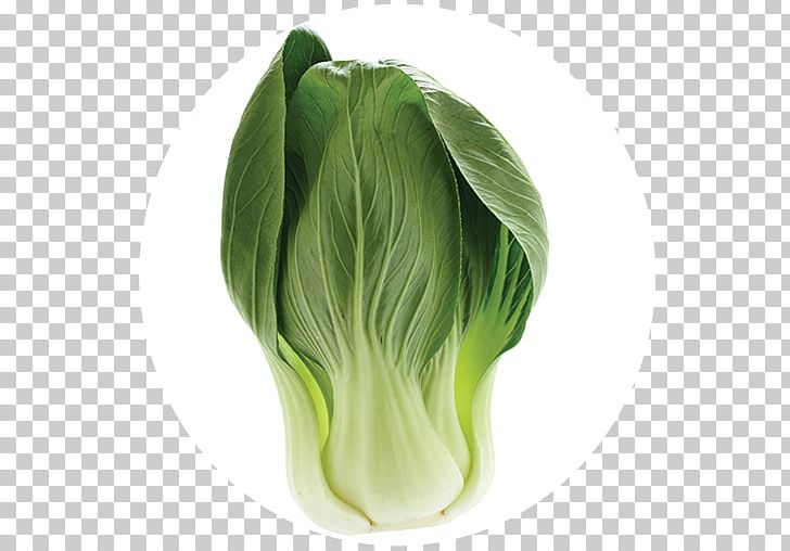 Cabbage Leaf Vegetable Food PNG, Clipart, Bok Choy, Cabbage, Chinese Cabbage, Choy Sum, Collard Greens Free PNG Download