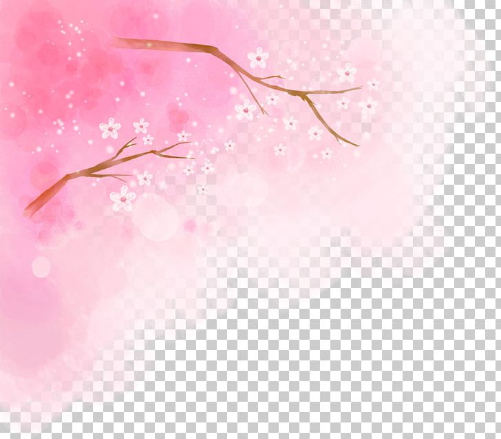 Cherry Blossom Pink Illustration PNG, Clipart, Blossom, Blossoms, Cerasus, Cherry, Cherry Blossoms Free PNG Download