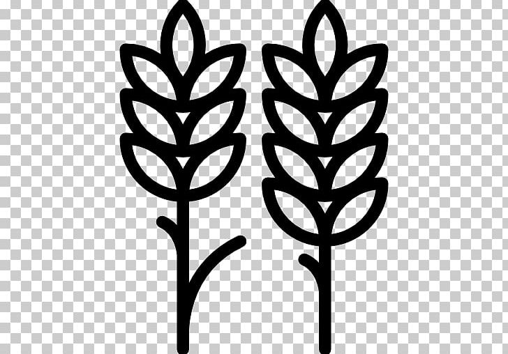 Computer Icons Wheat PNG, Clipart, Barley, Black And White, Branch, Company, Computer Icons Free PNG Download