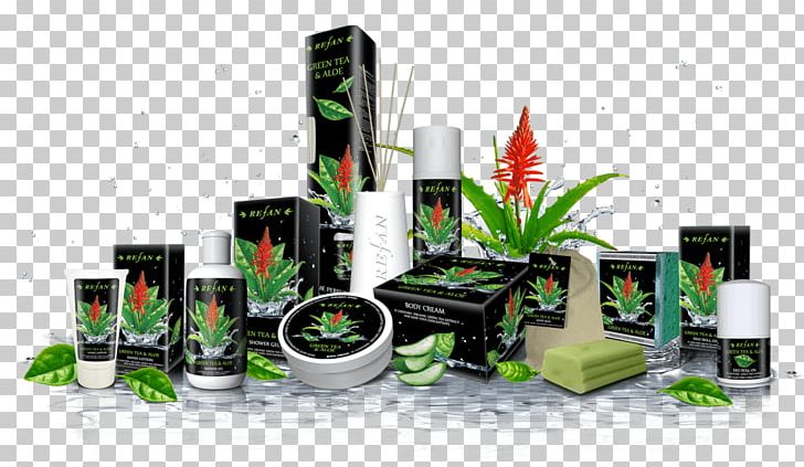 Green Tea Refan Bulgaria Ltd. Cosmetics Tea Plant PNG, Clipart, Aloe Vera, Antioxidant, Bottle, Centifolia Roses, Cosmetics Free PNG Download