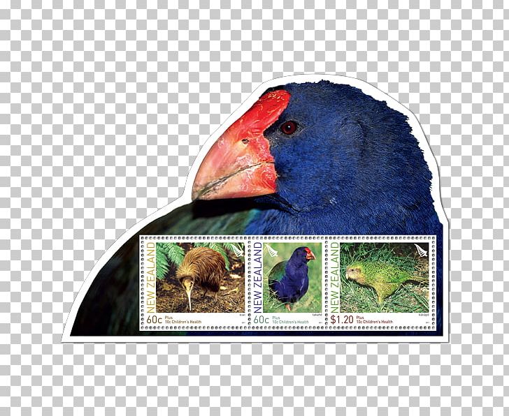 Macaw Advertising Fauna Beak PNG, Clipart, Advertising, Beak, Bird, Fauna, Macaw Free PNG Download