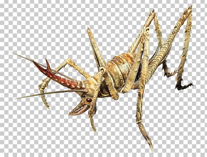 Fallout 4: Nuka-World Fallout: New Vegas Cricket Video Game Insect PNG, Clipart, Animal Source Foods, Bethesda Game Studios, Bethesda Softworks, Cave, Cave Crickets Free PNG Download