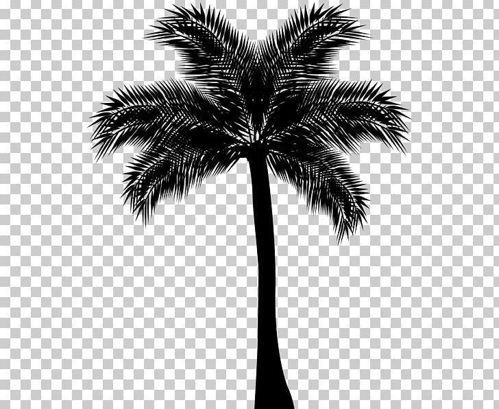 Arecaceae Silhouette Drawing PNG, Clipart, Arecaceae, Arecales, Black And White, Borassus Flabellifer, Date Palm Free PNG Download