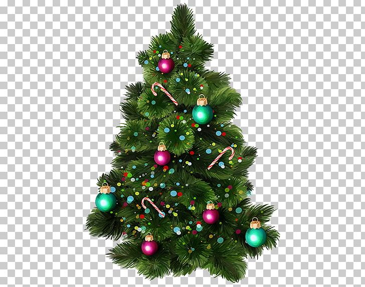 Christmas Tree Pine Fir PNG, Clipart, Christmas, Christmas Decoration, Christmas Ornament, Christmas Tree, Christmas Tree Decoration Free PNG Download