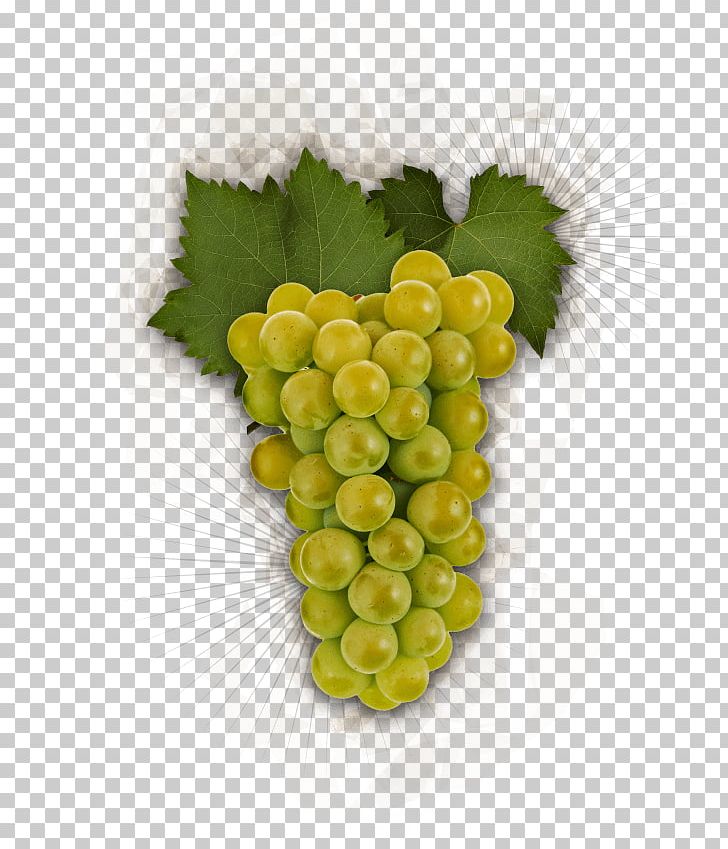Grape Chardonnay Pinot Gris Pinot Noir Riesling PNG, Clipart, Burgundy Wine, Chardonnay, Common Grape Vine, Food, Fruit Free PNG Download