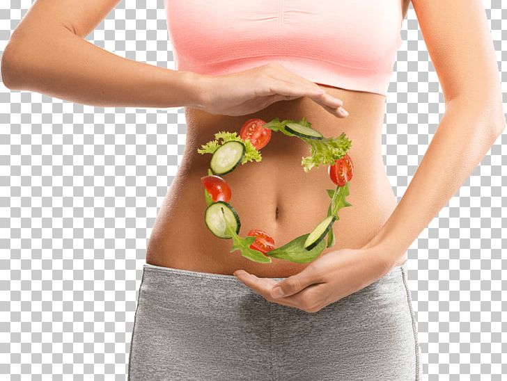 Gut Flora Gastrointestinal Tract Bacteria Digestion Health PNG, Clipart, Abdomen, Bacteria, Digestion, Disease, Dr Rebecca M Gilbert Md Free PNG Download