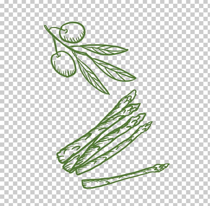 Plant Euclidean PNG, Clipart, Branches, Download, Euclidean Vector, Food Drinks, Free Software Free PNG Download