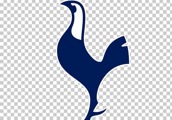 Tottenham Hotspur F C Premier League Football Player Northumberland Development Project Png Clipart Beak Bird Christian Eriksen