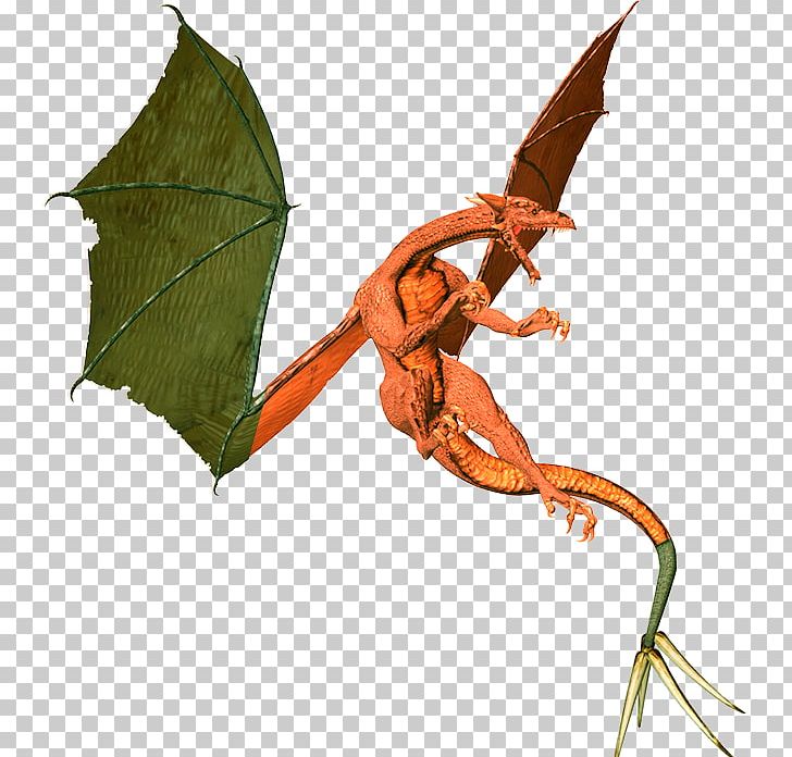 Dragon Photography PNG, Clipart, 3d Computer Graphics, Animation, Bio, Chinese Dragon, Dragon Free PNG Download
