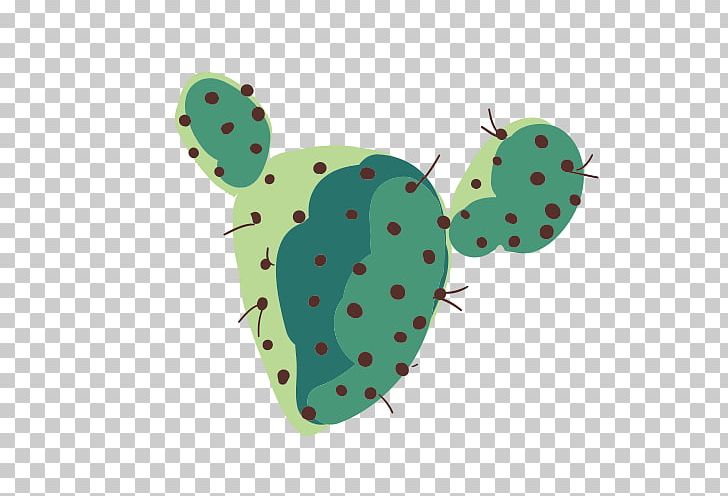 Green Cactaceae PNG, Clipart, Cactus, Cactus Cartoon, Cactus Flower, Cactus Vector, Cartoon Cactus Free PNG Download