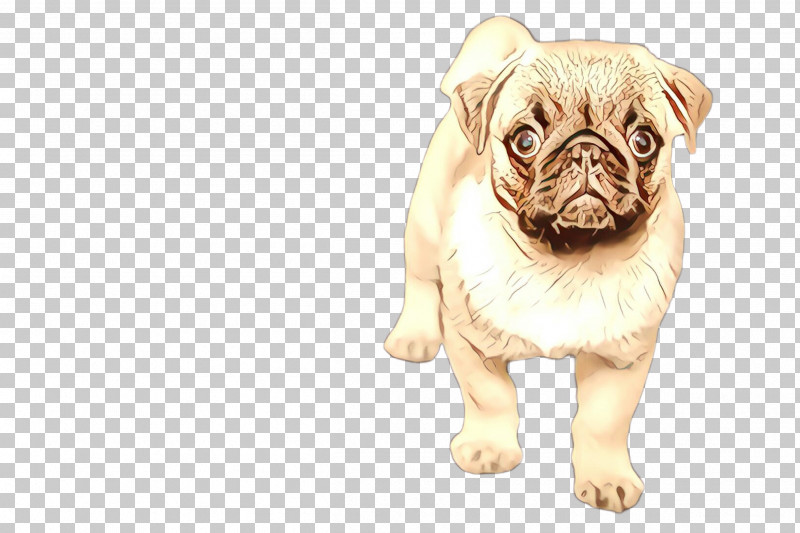 Dog Pug Snout Companion Dog Puppy PNG, Clipart, Companion Dog, Dog, Pug, Puppy, Snout Free PNG Download