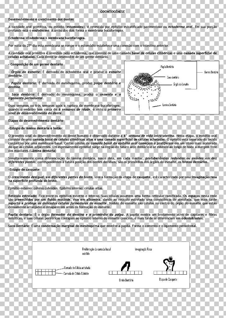 Document Line Angle PNG, Clipart, Angle, Area, Art, Black And White, Diagram Free PNG Download