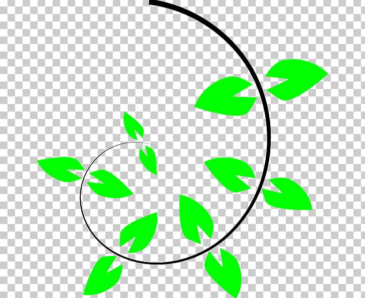 Vine Climbing Plant PNG, Clipart, Artwork, Branch, Climbing, Download, Flora Free PNG Download