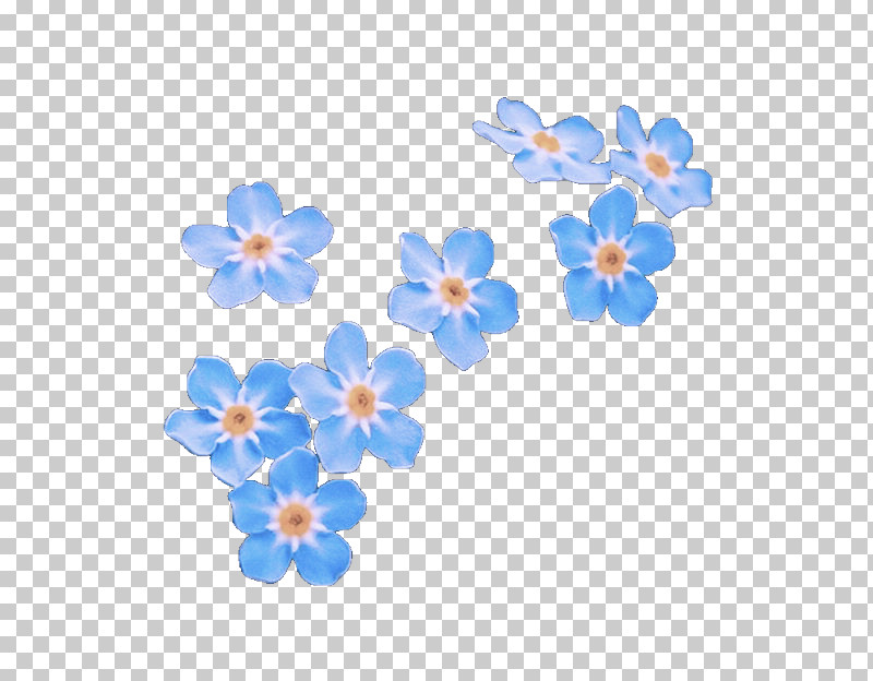 Forget-me-not Blue Flower Petal Plant PNG, Clipart, Blossom, Blue, Borage Family, Flower, Forgetmenot Free PNG Download