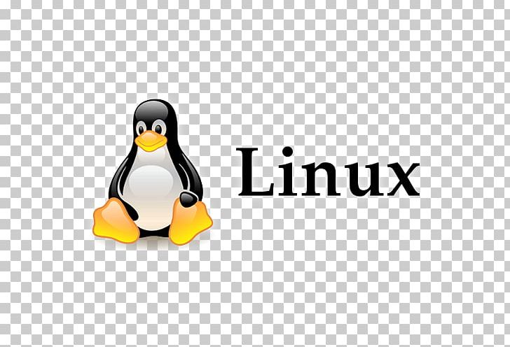 Linux Unix Operating Systems Command-line Interface Computer Software PNG, Clipart, Beak, Bird, Brand, Commandline Interface, Computer Servers Free PNG Download