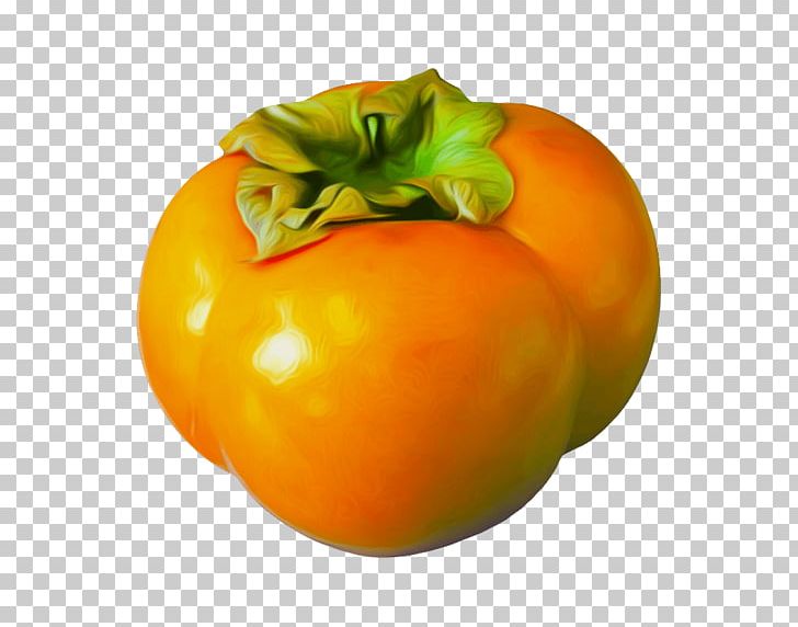 Persimmon PNG, Clipart, Food, Fruits, Persimmons Free PNG Download