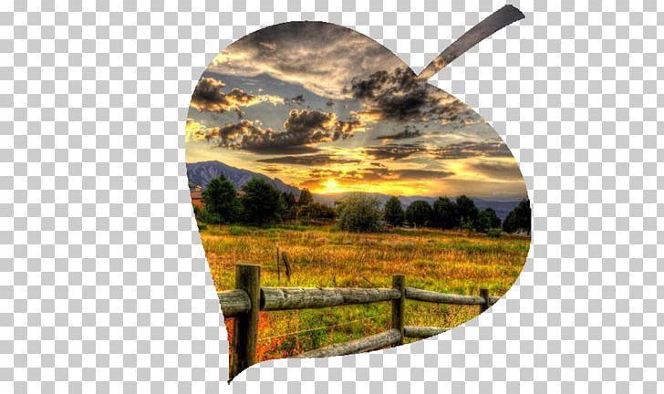 Boulder View Road Sunset Giant Thinkwell PNG, Clipart, Boulder, Cloud, Colorado, Giant Thinkwell Inc, Grass Free PNG Download