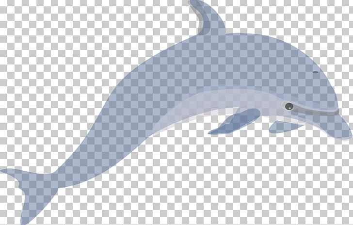 Common Bottlenose Dolphin Tucuxi Porpoise Illustration PNG, Clipart, Animals, Biological, Blue, Christmas Lights, Common Bottlenose Dolphin Free PNG Download