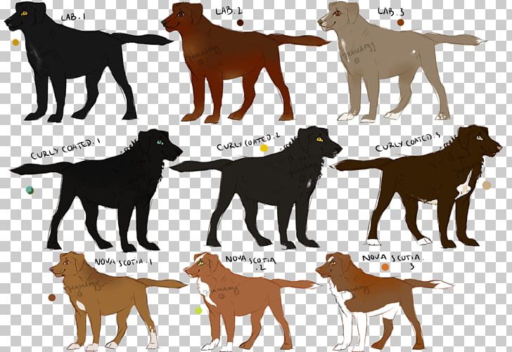 Dog Breed Sporting Group PNG, Clipart, Breed, Carnivoran, Dog, Dog Breed, Dog Like Mammal Free PNG Download