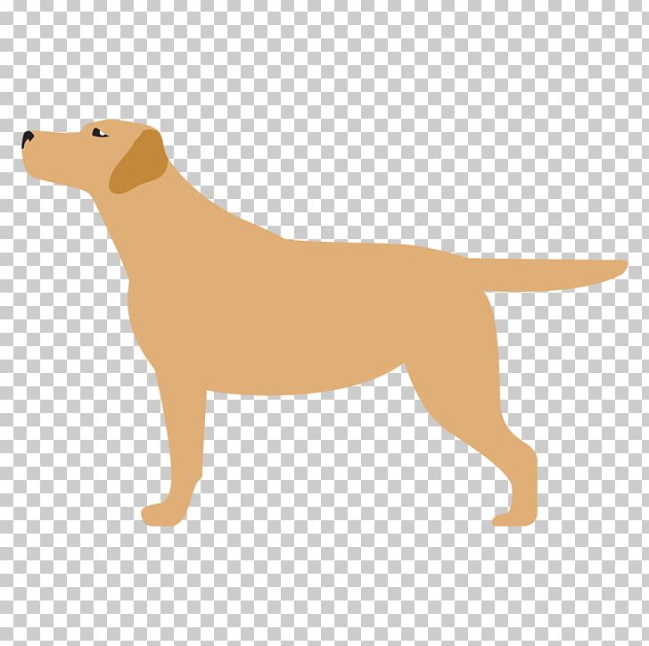 Labrador Retriever Nova Scotia Duck Tolling Retriever Dog Breed Puppy Companion Dog PNG, Clipart, Animals, Carnivoran, Companion Dog, Dog Breed, Dog Breed Group Free PNG Download