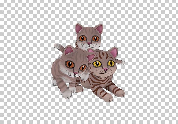 Team Fortress 2 Kitten Garry's Mod Game American Wirehair PNG, Clipart,  Free PNG Download