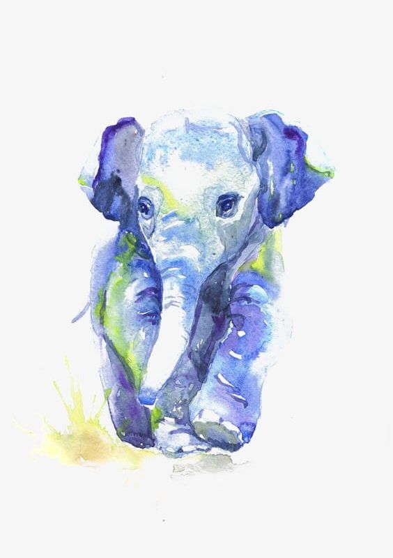 Watercolor Elephant PNG, Clipart, Animal, Backgrounds, Blue, Close Up, Creativity Free PNG Download