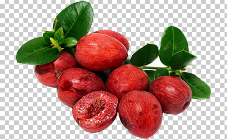 Natal Plum Juice Fruit Carissa Carandas Shrub PNG, Clipart, Auglis, Berry, Bilberry, Blossom, Carissa Free PNG Download