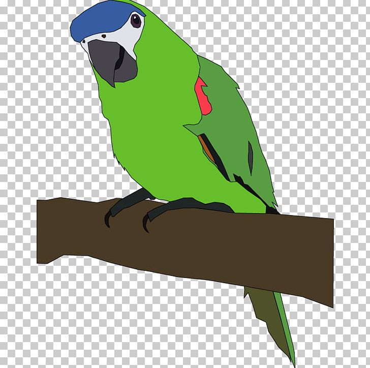 Parrot Bird Computer Icons Free Content PNG, Clipart, Animals, Beak, Bird, Birds, Blog Free PNG Download