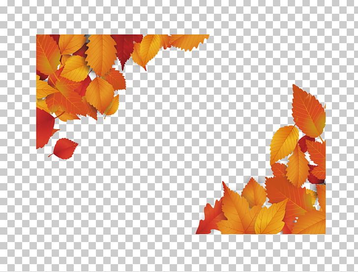 Red Maple Maple Leaf Euclidean PNG, Clipart, Autumn Maple Leaves, Border, Border Frame, Certificate Border, Computer Wallpaper Free PNG Download