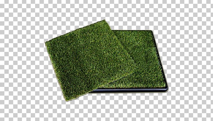 Angle PNG, Clipart, Angle, Dog, Furr, Grass, Green Free PNG Download