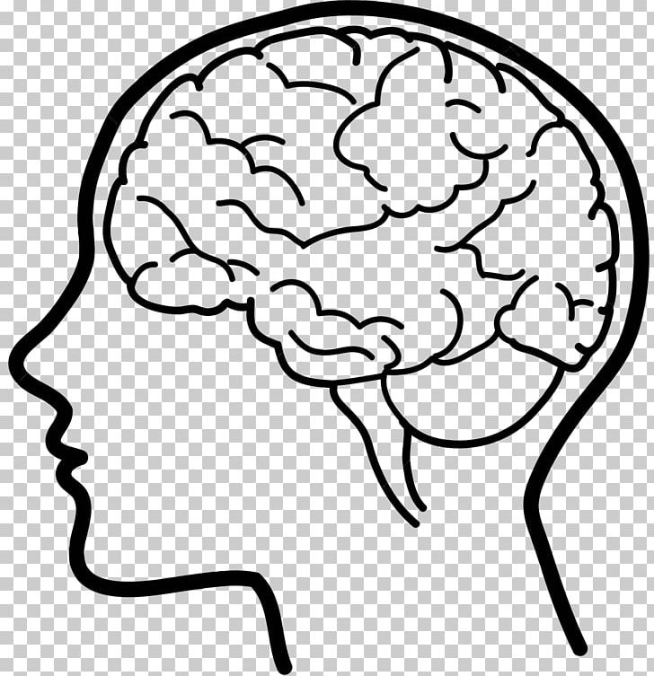 Human Brain PNG, Clipart, Art, Black And White, Blog, Brain, Com Free