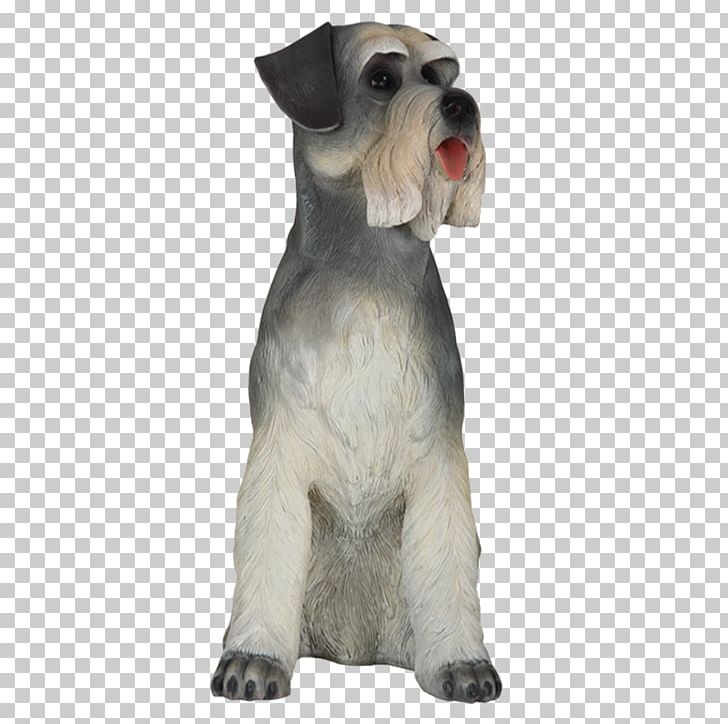 Miniature Schnauzer Dog Breed Companion Dog Snout PNG, Clipart, Breed, Carnivoran, Companion Dog, Crossbreed, Dog Free PNG Download