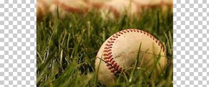 Baseball Field Wrigley Field MLB Softball PNG, Clipart, Ball, Baseball, Baseball Coach, Baseball Field, Commodity Free PNG Download
