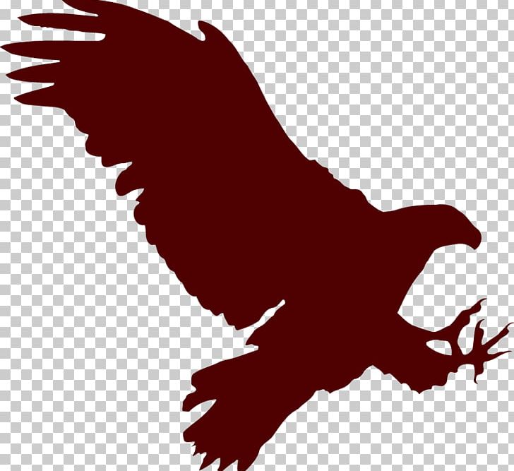 Bird Bald Eagle Portable Network Graphics Paper PNG, Clipart, Animals, Bald Eagle, Beak, Bird, Bird Of Prey Free PNG Download