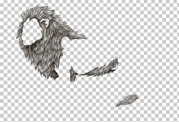 Bird Of Prey Line Art Beak Sketch PNG, Clipart, Animals, Artwork, Beak, Bird, Bird Of Prey Free PNG Download