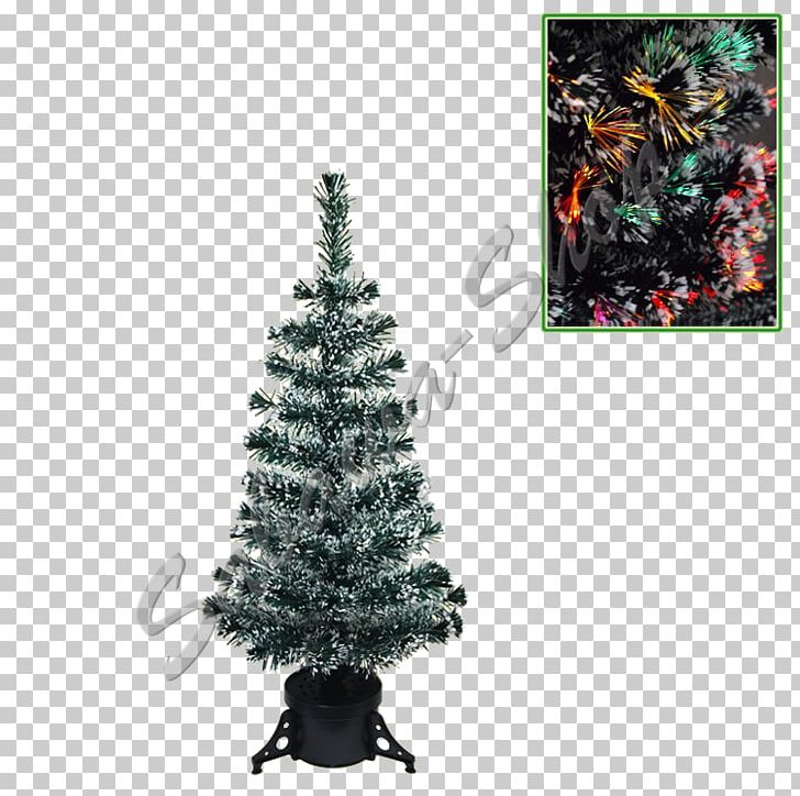 Christmas Tree Spruce Fir Pine Christmas Ornament PNG, Clipart, Christmas, Christmas Decoration, Christmas Ornament, Christmas Tree, Conifer Free PNG Download