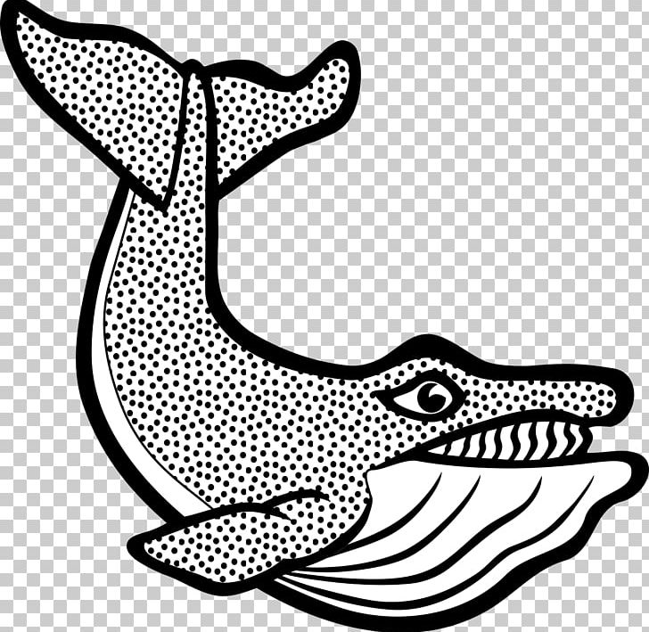 Marine Mammal Cetacea Graphics Little Whale PNG, Clipart, Area, Art, Artwork, Black, Black And White Free PNG Download