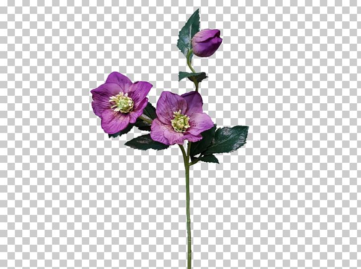 Rosaceae Cut Flowers Anemone Artificial Flower PNG, Clipart, Anemone, Artificial Flower, Cut Flowers, Flora, Flower Free PNG Download