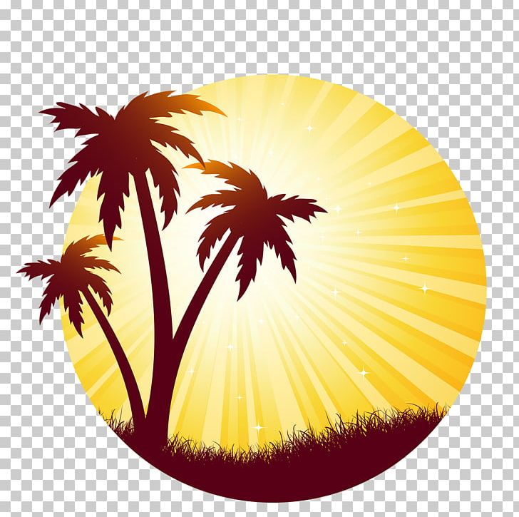 Arecaceae Silhouette Sunset PNG, Clipart, Animals, Arecaceae, Beach, Flower, Flowering Plant Free PNG Download