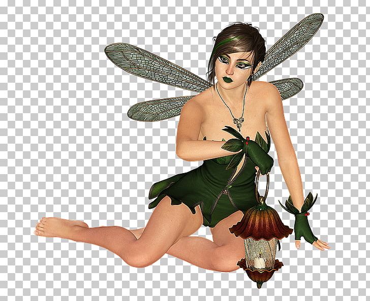 Fairy Elf PNG, Clipart, Display Resolution, Download, Elf, Fairy, Fairy Forest Free PNG Download
