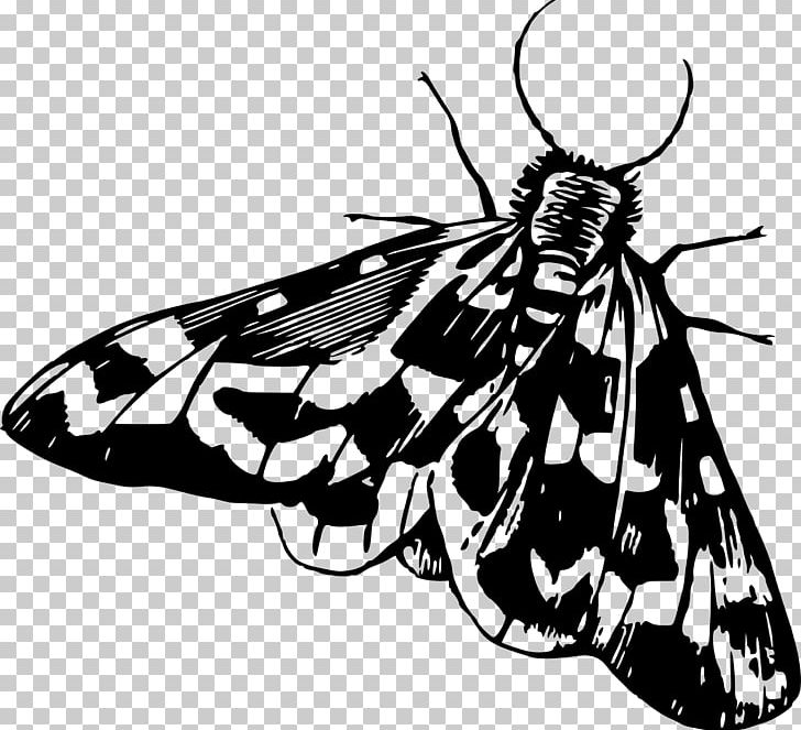 Insect Moth PNG, Clipart, Animals, Art, Arthropod, Black And White, Brush Footed Butterfly Free PNG Download