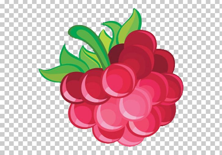 Juice Red Raspberry Fruit Berries PNG, Clipart, Berries, Berry, Boysenberry, Flower, Food Free PNG Download