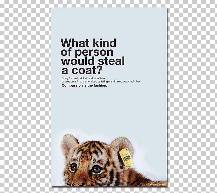 Tiger Poster Cat Jaguar Animal PNG, Clipart, Animal, Animal Rights, Animal Testing, Animal Welfare, Big Cats Free PNG Download