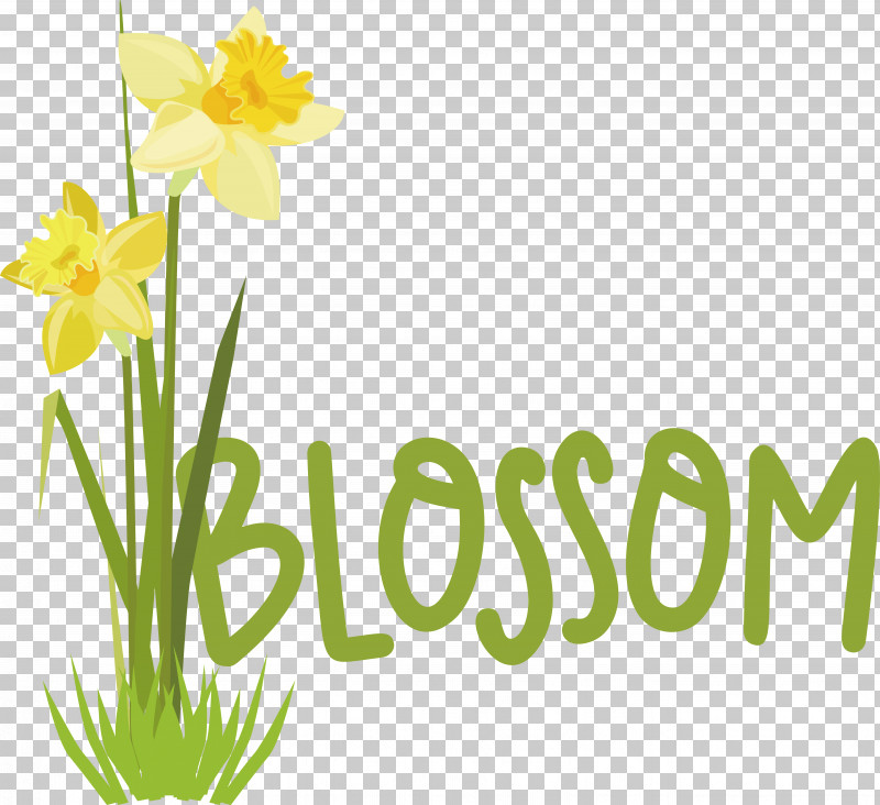 Plant Stem Daffodil Font Logo Yellow PNG, Clipart, Biology, Daffodil, Happiness, Logo, Meter Free PNG Download