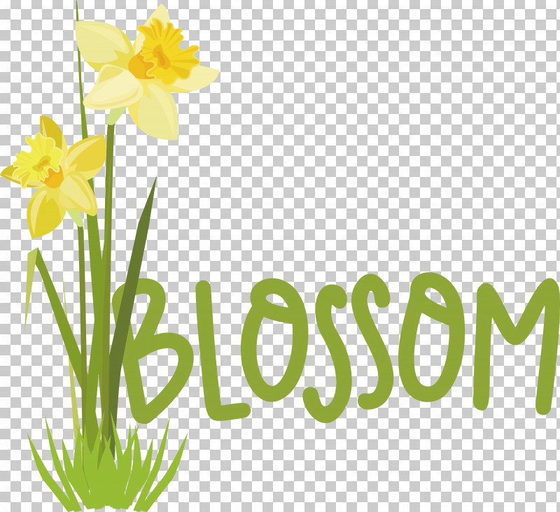 Plant Stem Daffodil Font Logo Yellow PNG, Clipart, Biology, Daffodil ...