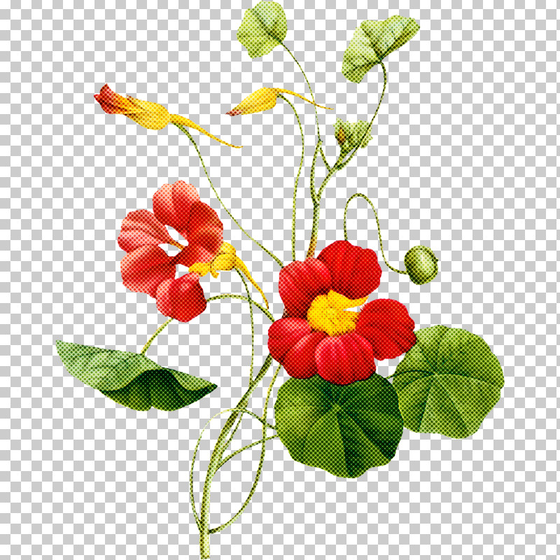 Artificial Flower PNG, Clipart, Anthurium, Artificial Flower, Flower, Geranium, Houseplant Free PNG Download
