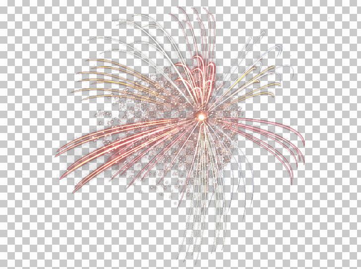 Close-up Pattern PNG, Clipart, Cartoon Fireworks, Closeup, Firework, Fireworks, Holidays Free PNG Download