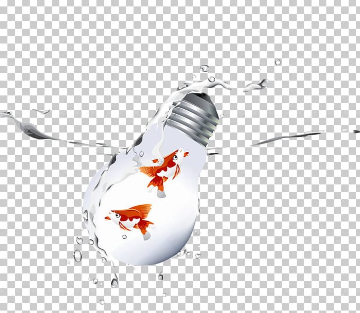 Goldfish PNG, Clipart, Aquatic, Aquatic Products, Blister, Bulb, Christmas Lights Free PNG Download