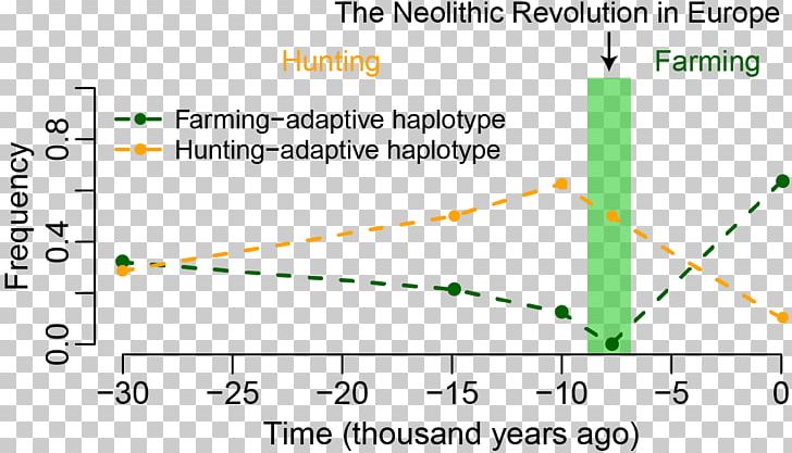 Neolithic Europe Neolithic Revolution Genetics PNG, Clipart, Allele, Angle, Area, Circle, Diagram Free PNG Download