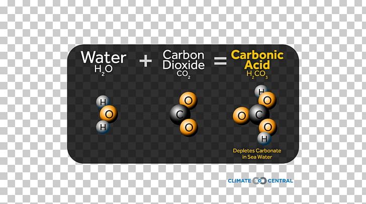 Ocean Acidification Seawater Pacific Marine Environmental Laboratory Shore PNG, Clipart, Absorption, Brand, Calcification, Carbonate, Eating Free PNG Download